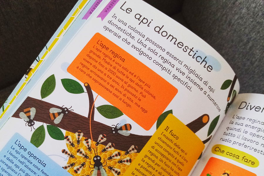libri sulle api per bambini