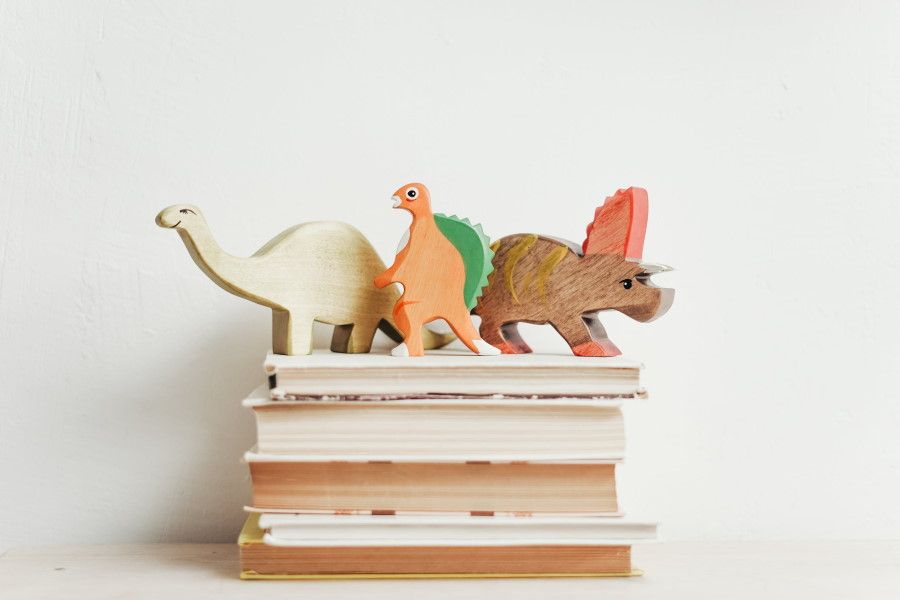 libri sui dinosauri per bambini