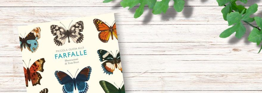 libri per bambini sulle farfalle