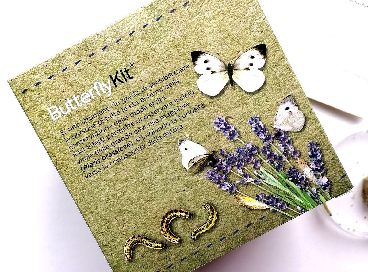 Smartbugs Kit: la mia recensione sul Butterfly Kit