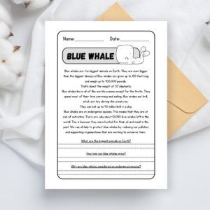 blue whale reading comprehension - lettura e comprensione in inglese sulle balene