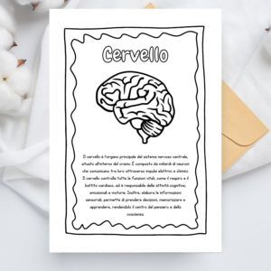 poster sul corpo umano per bambini