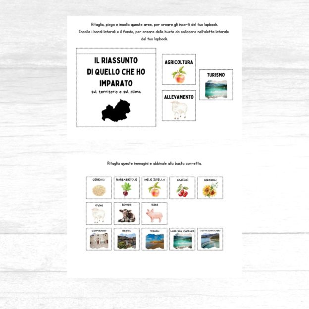 Lapbook Molise scuola primaria da stampare - immagine 3