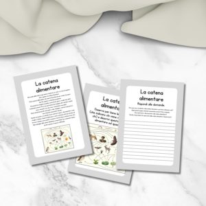 schede didattiche sulla catena alimentare